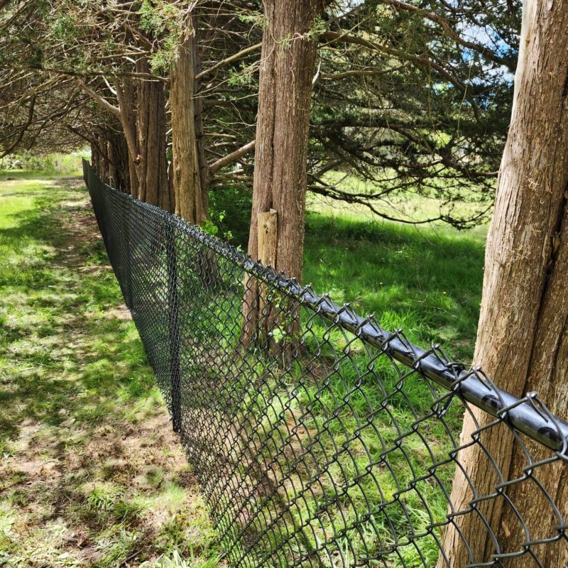 residential fence